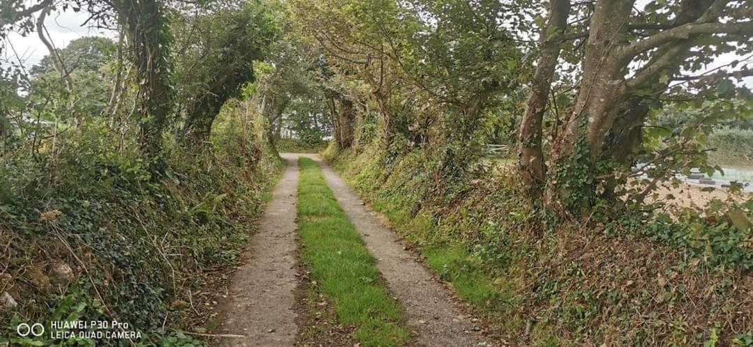 פנזאנס Rosebud Flower Farm Caravan Stay Countryside And Coast מראה חיצוני תמונה